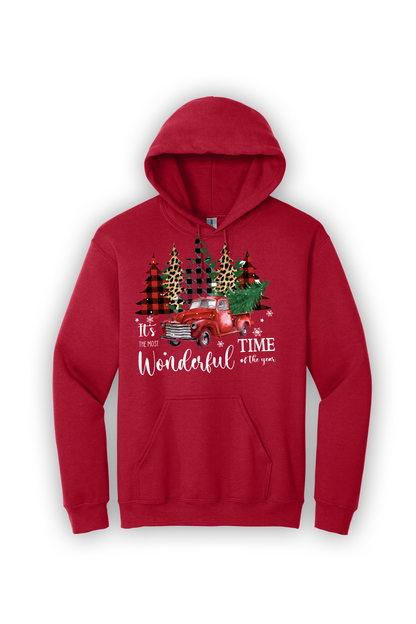 Hoodie Its the Most Wonderful Time of the Year