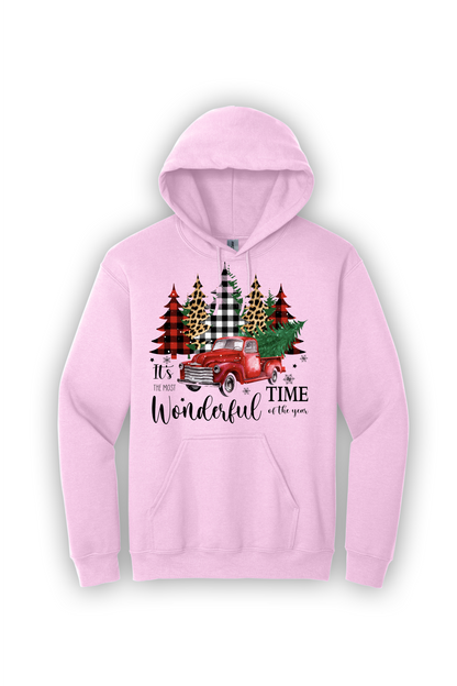 Hoodie Its the Most Wonderful Time of the Year