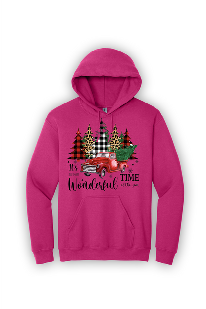 Hoodie Its the Most Wonderful Time of the Year